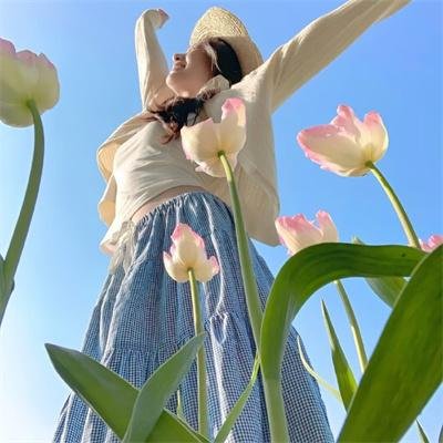 没人瞭波斯猫